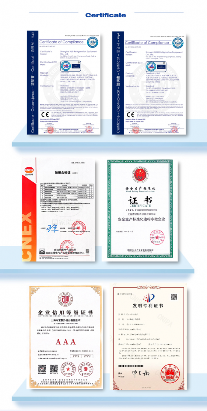 Série DL Refroidisseur d'air DL22 certification CE personnalisée évaporateur de chambre froide 3HP évaporateur de plafond, adapté à la réfrigération d'entrepôt, chambre froide, entrepôt frigorifique de légumes 24