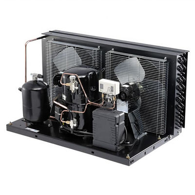 TAG2522ZBR Commercial 6HP Refrigeration Unit air Cooled Cooling Units R404 Refrigerant Cold Storage Condensing Units