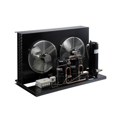 TAG2522ZBR Commercial 6HP Refrigeration Unit air Cooled Cooling Units R404 Refrigerant Cold Storage Condensing Units