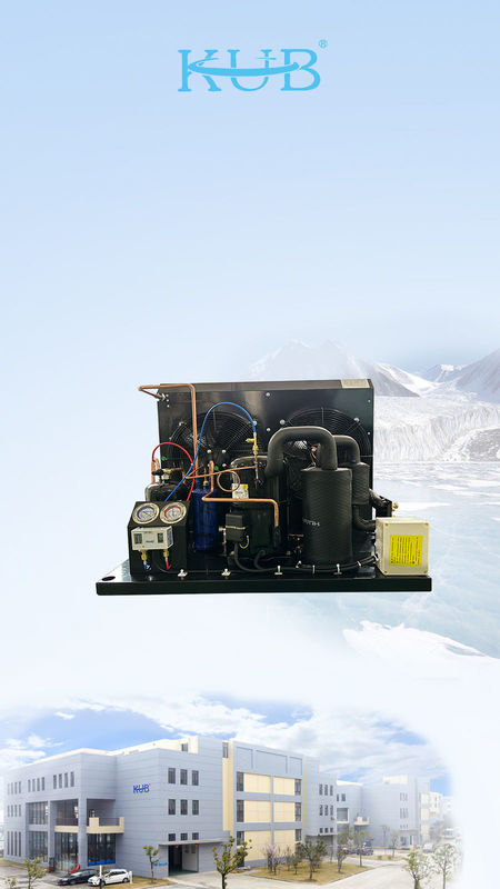 TAG2516Z Unité de réfrigération du compresseur Tecumseh unité de congélation unité de condensation r404a unité de marche dans la chambre de congélation