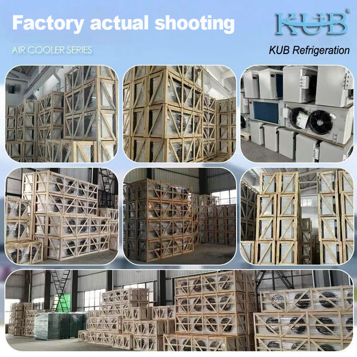 Unité de refroidissement de la série DD certifiée CE