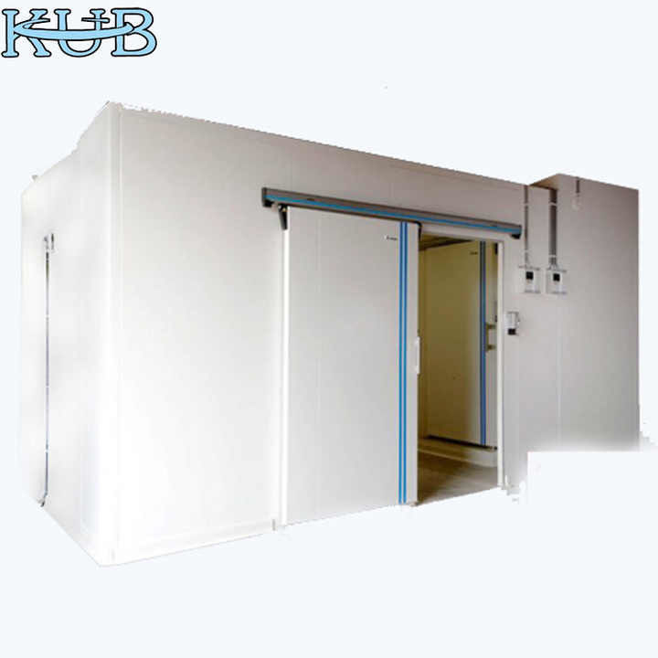 25℃ Cold Storage Subsidy Servicer Uk India 150m³ Cold Food Storage Room