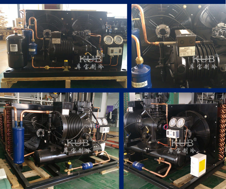 BFS51 Chambre froide fiable Compresseur semi-hermétique Unité de condensation de stockage à froid Unité de réfrigération facile à utiliser