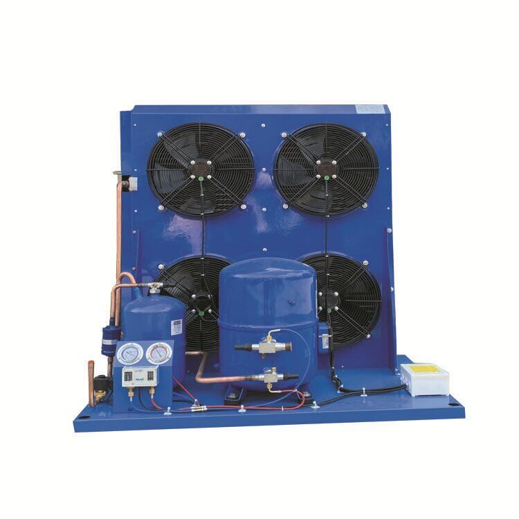 Refroidisseur industriel avec compresseur 12CV réfrigérant R22/R404A et unité de condensation refroidie par air avec 1 an de garantie