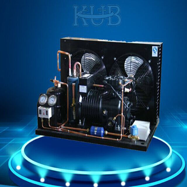 BFS81 Unité de condensation de compression semi-hermétique de chambre froide fiable Unité de réfrigération de stockage à froid facile à utiliser