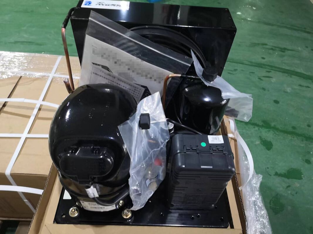 Compresseur à basse pression de 3/4 HP à 6 HP Compresseur à piston Tecumseh Compresseur R404A Compresseurs de réfrigération