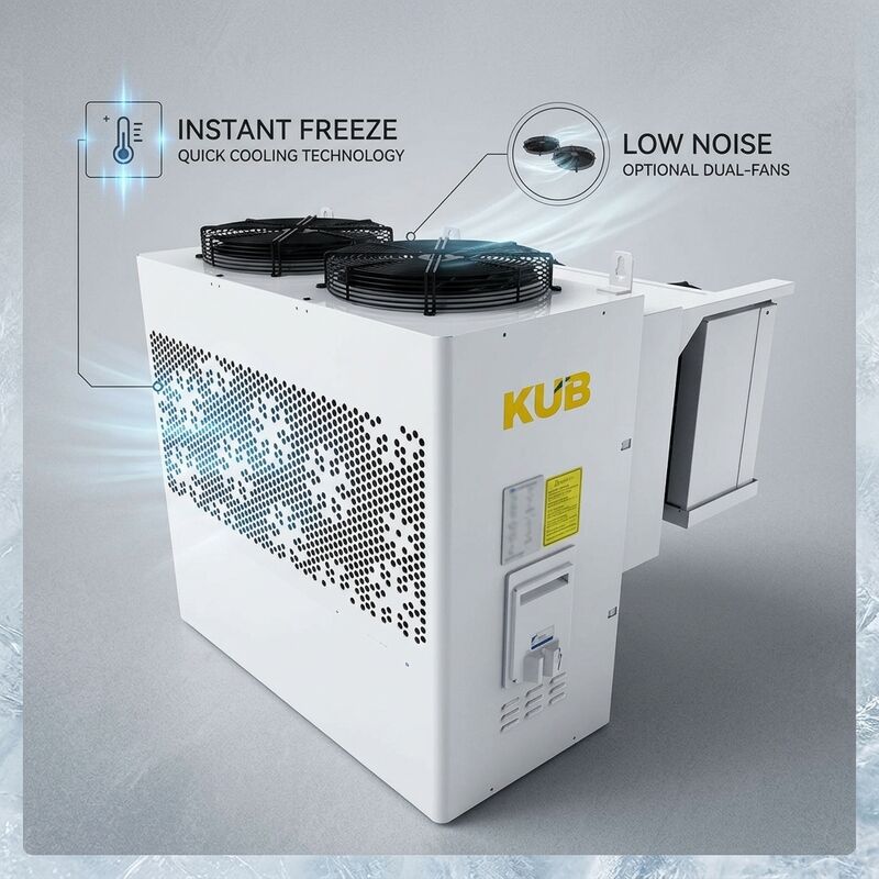Petite unité de condensation à économie d'énergie, COP 3.2 élevé, 3HP, onduleur DC à défilement R404A, congélateur de chambre froide à vitesse variable