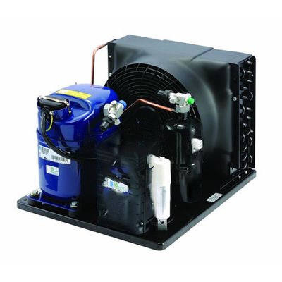 TAG2522ZBR Commercial 6HP Refrigeration Unit air Cooled Cooling Units R404 Refrigerant Cold Storage Condensing Units