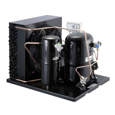 TAG2522ZBR Commercial 6HP Refrigeration Unit air Cooled Cooling Units R404 Refrigerant Cold Storage Condensing Units